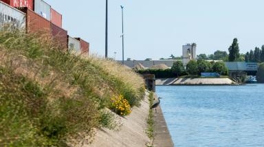 Agrandir l'image, fenêtre modale